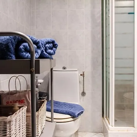 Center Apartment, Place Massena דירה *